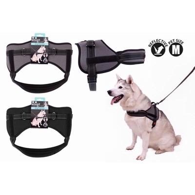 smart-choice-harness-reflective-med_SMART_CHOICE_HARNESS_REFLECTIVE_MED_.jpeg