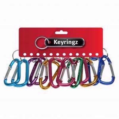 v-ring-small-keyring-pk12_V_RING_SMALL_KEYRING_PK12_.jpeg