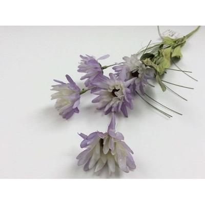 wild-daisy-spray-lavevder_WILD_DAISY_SPRAY_LAVEVDER_.jpeg