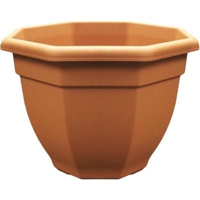 winchester-50cm-octagonal-pot-terracotta_WINCHESTER_50CM_OCTAGONAL_POT_TERRACOTTA_.jpeg